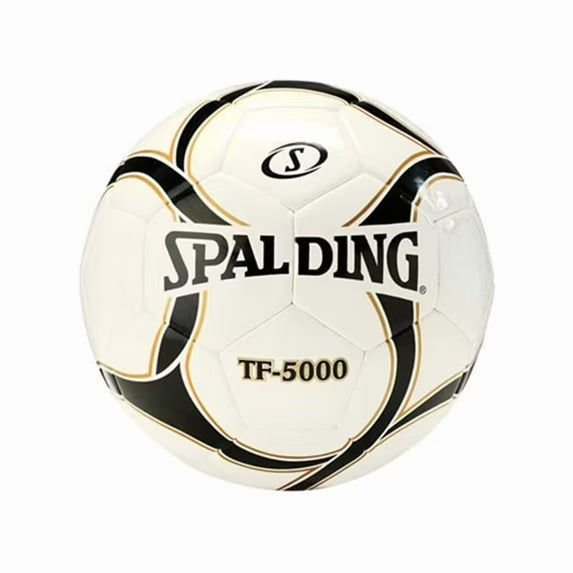 Indoor Basketballs