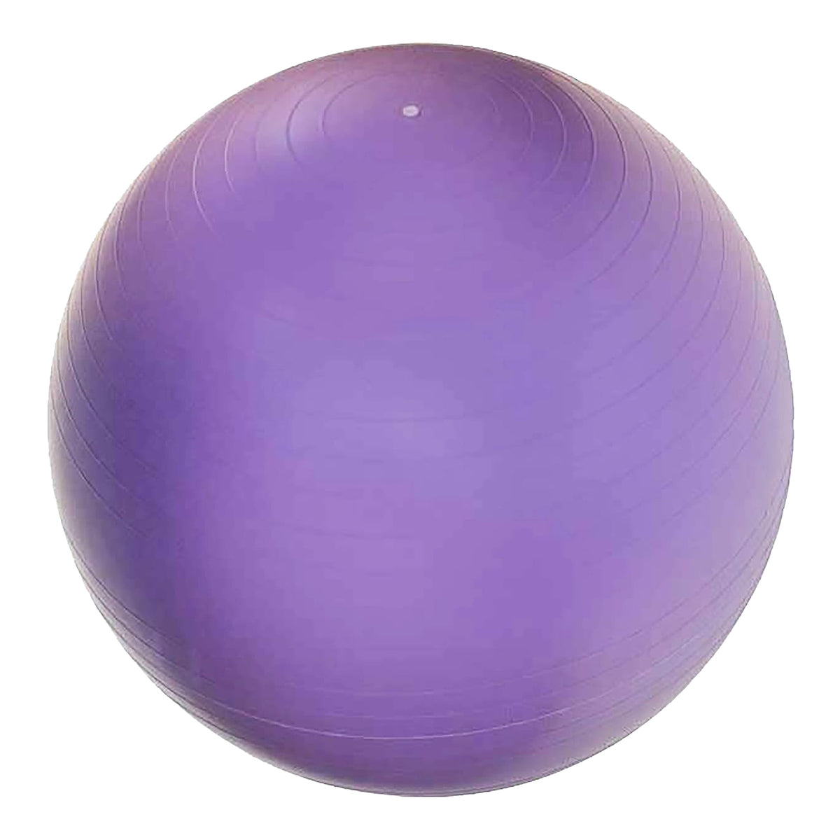 Champion Sports JFIT Anti-Burst Gym Ball - 65 cm (Purple)