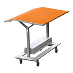 Pacer Gill Track Shelter; Roof Color ?; Graphics