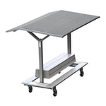 Pacer Gill Track Shelter; Roof Color ?; Graphics