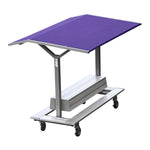 Pacer Gill Track Shelter; Roof Color ?; Graphics