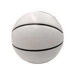 Champion Sports Autograph Basketball