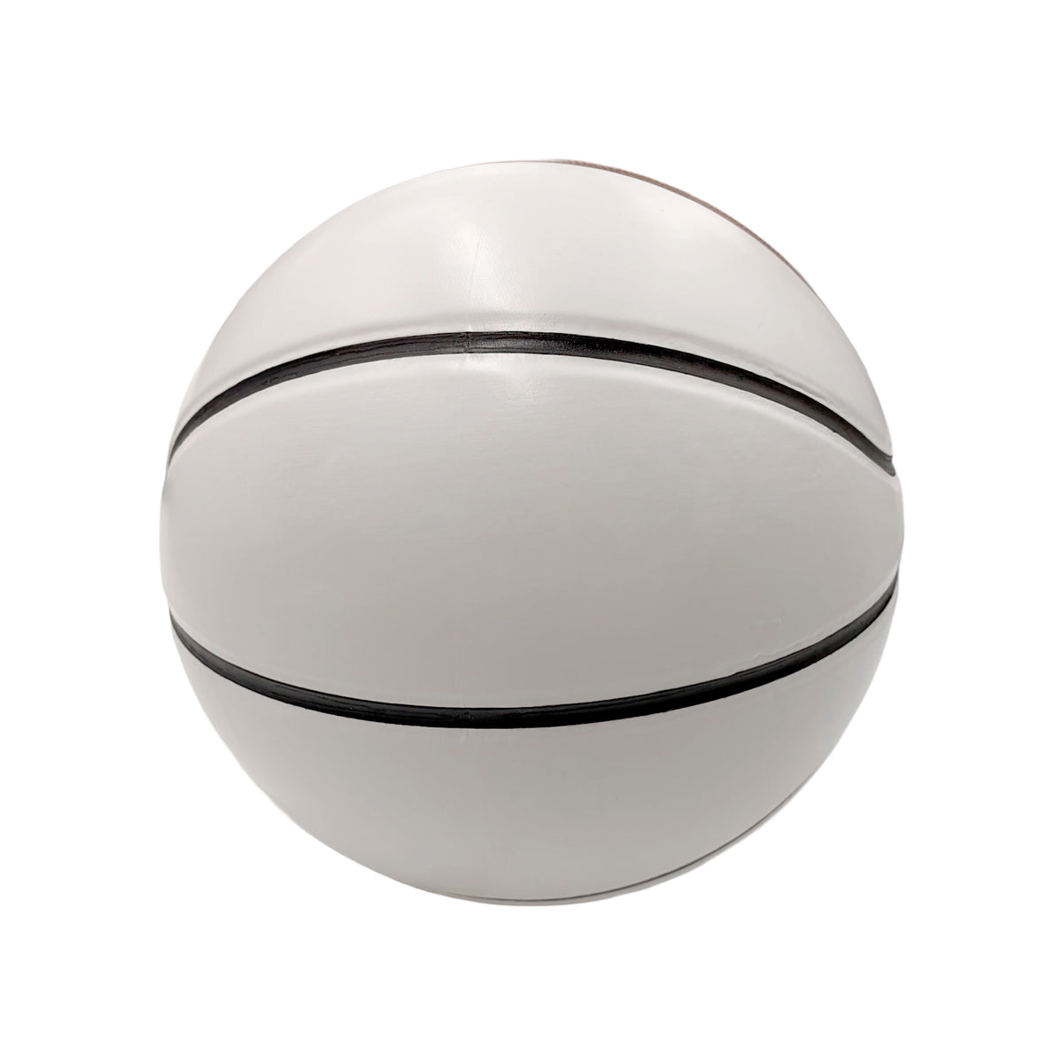 Champion Sports Autograph Basketball