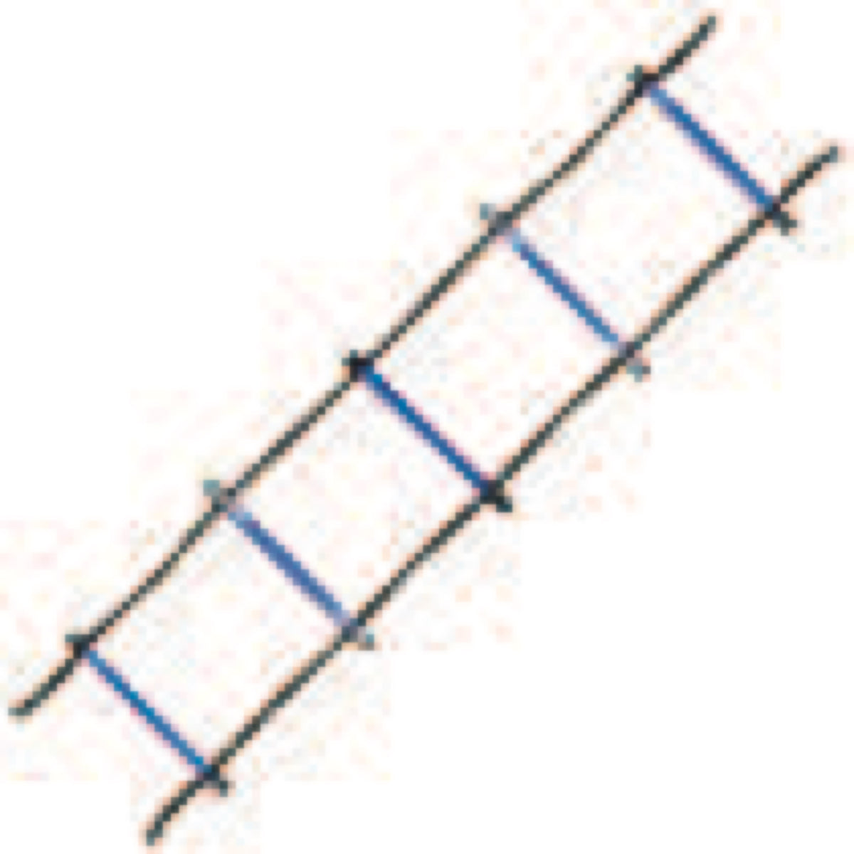 Champion Sports Sectioned Agility Ladder Set