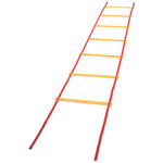 Champion Sports Economy Agility Ladder
