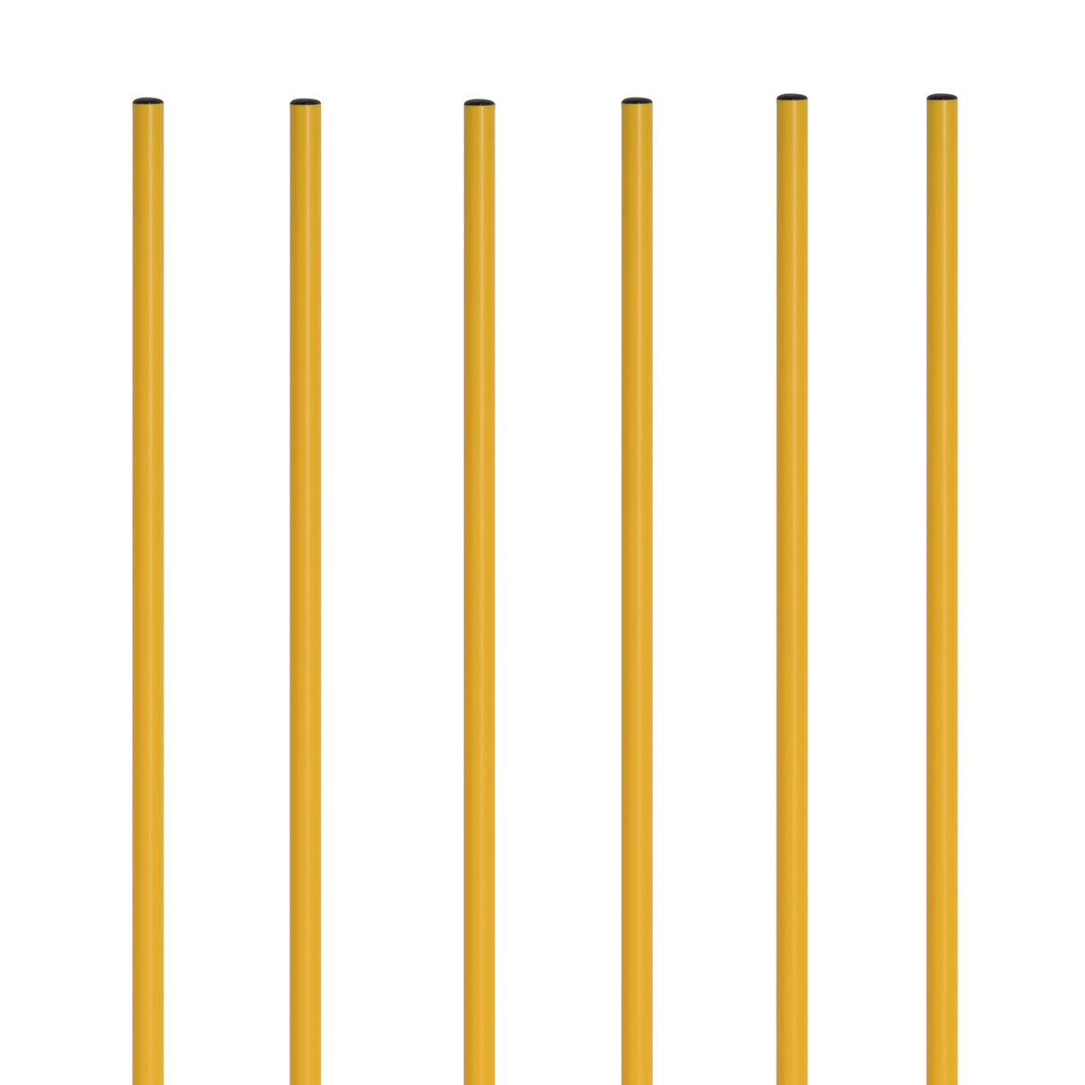 Champion Sports Coaching Sticks with Base - Set of 6