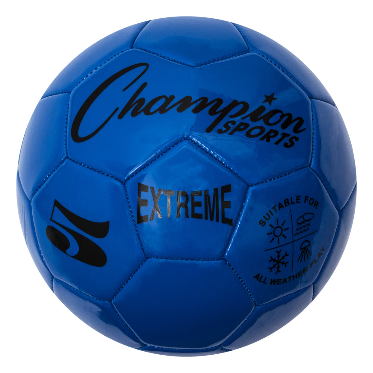 Champion Sports Extreme Soccer Ball, Size 5 - Blue
