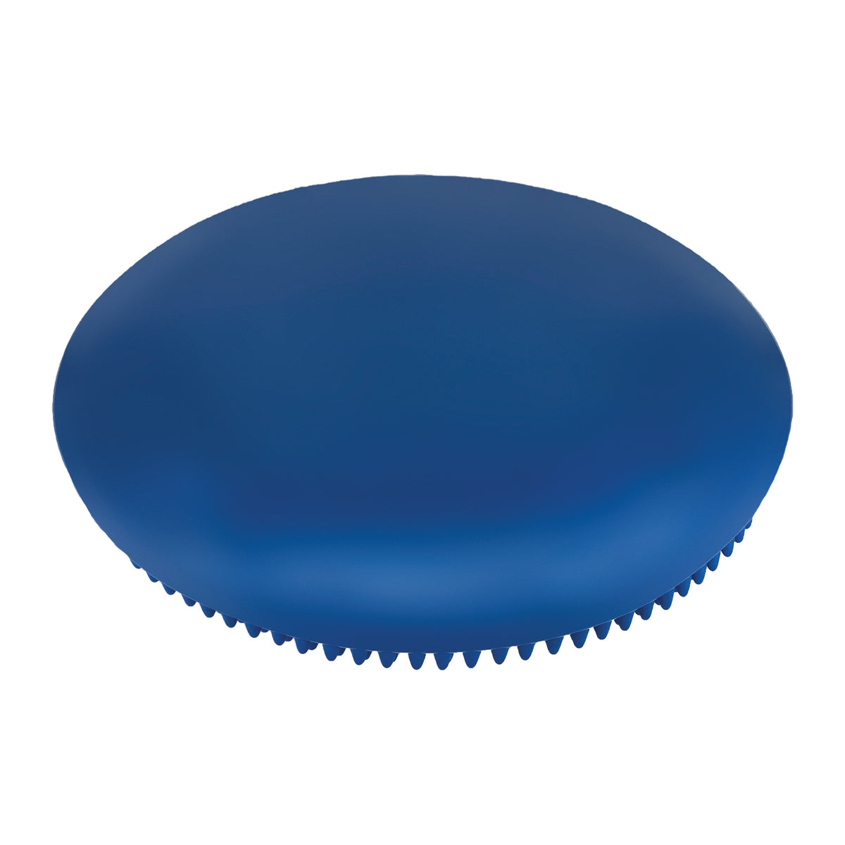 Champion Sports 14" Exercise Disc