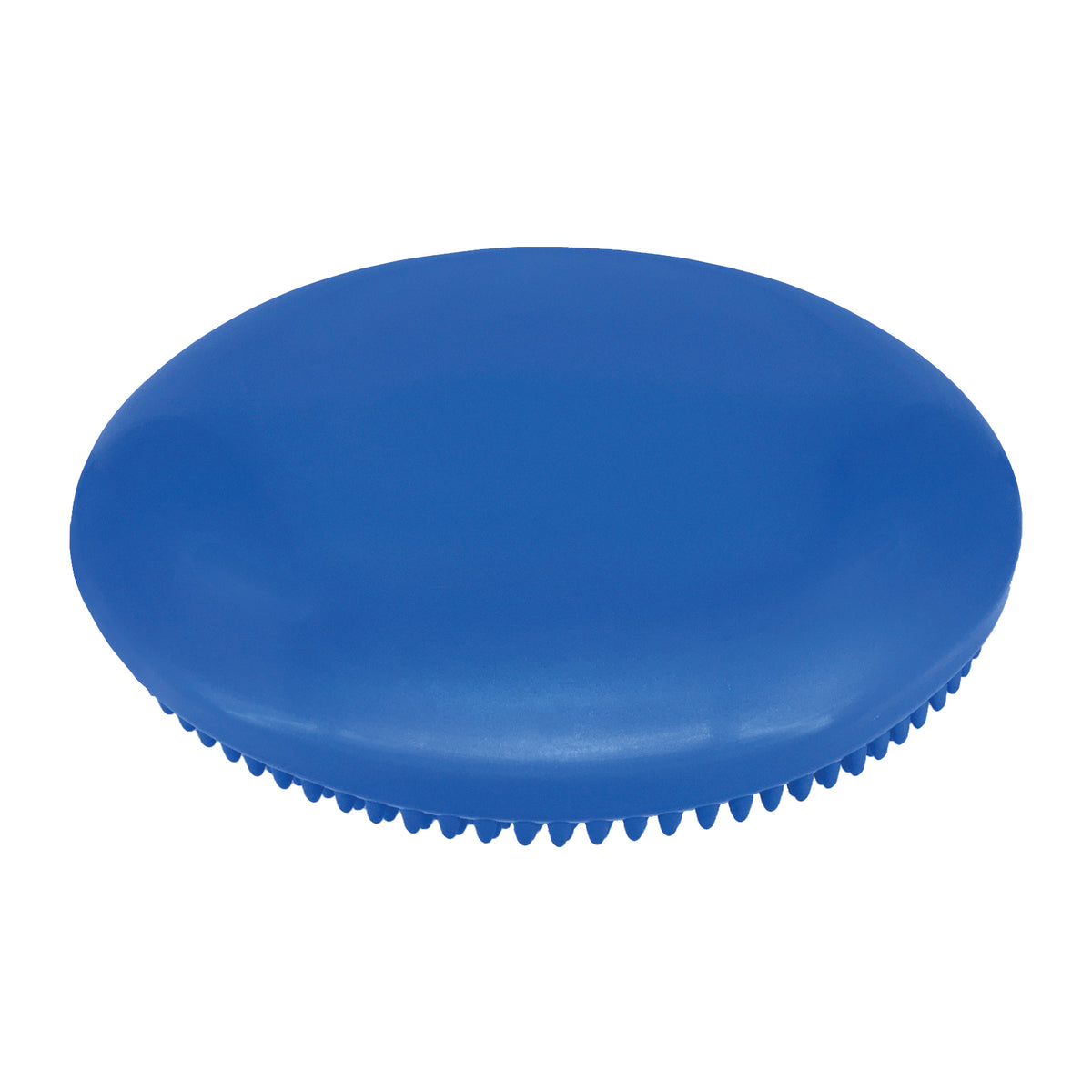 Champion Sports 14" Exercise Disc