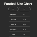 Baden Official APEX Composite Football