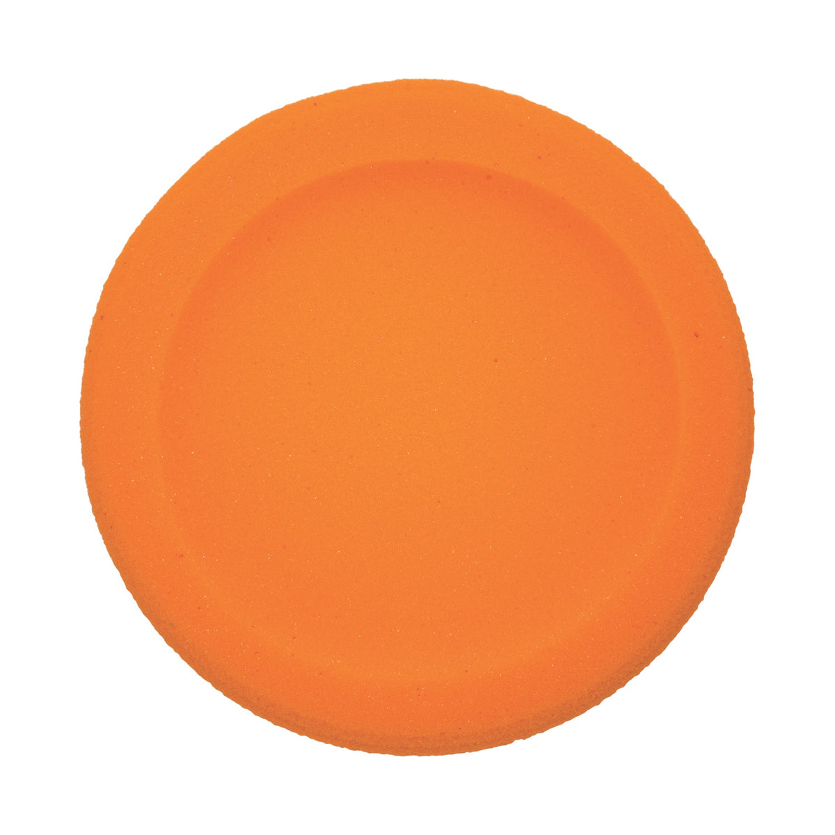 Champion Sports Rounded Edge Uncoated Foam Disc Set