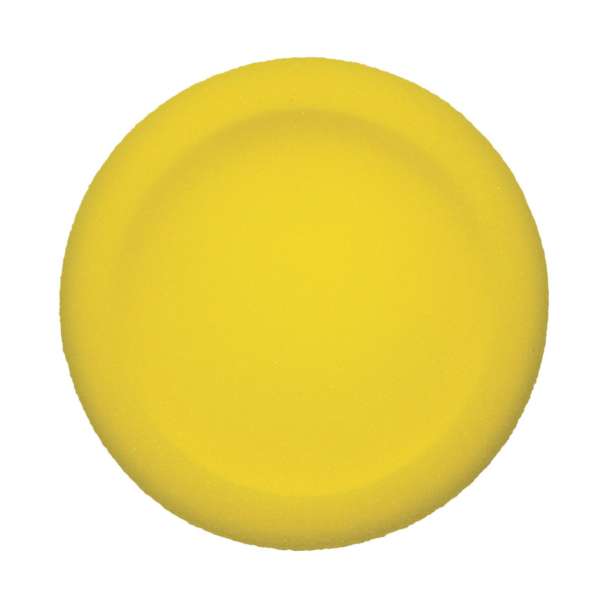 Champion Sports Rounded Edge Uncoated Foam Disc Set