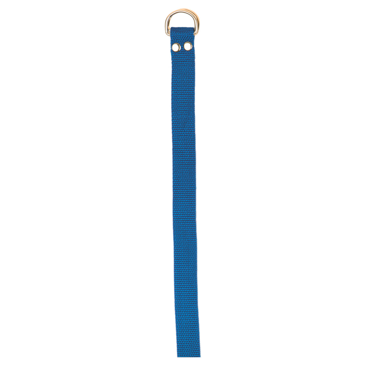 Champion Sports Football Belt - Blue