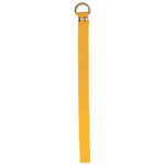 Champion Sports Football Belt - Gold