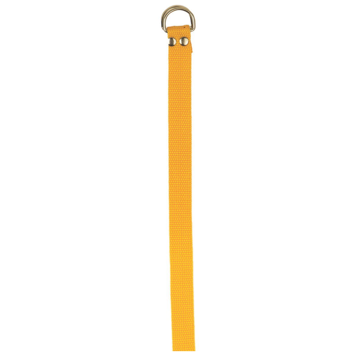 Champion Sports Football Belt - Gold