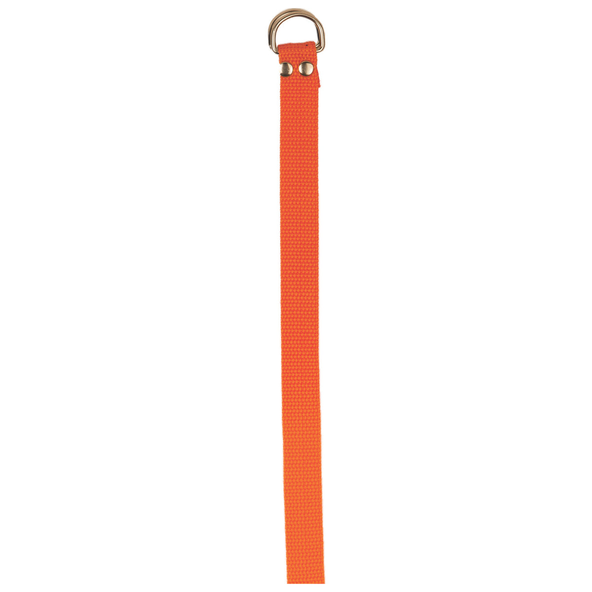 Champion Sports Football Belt - Orange