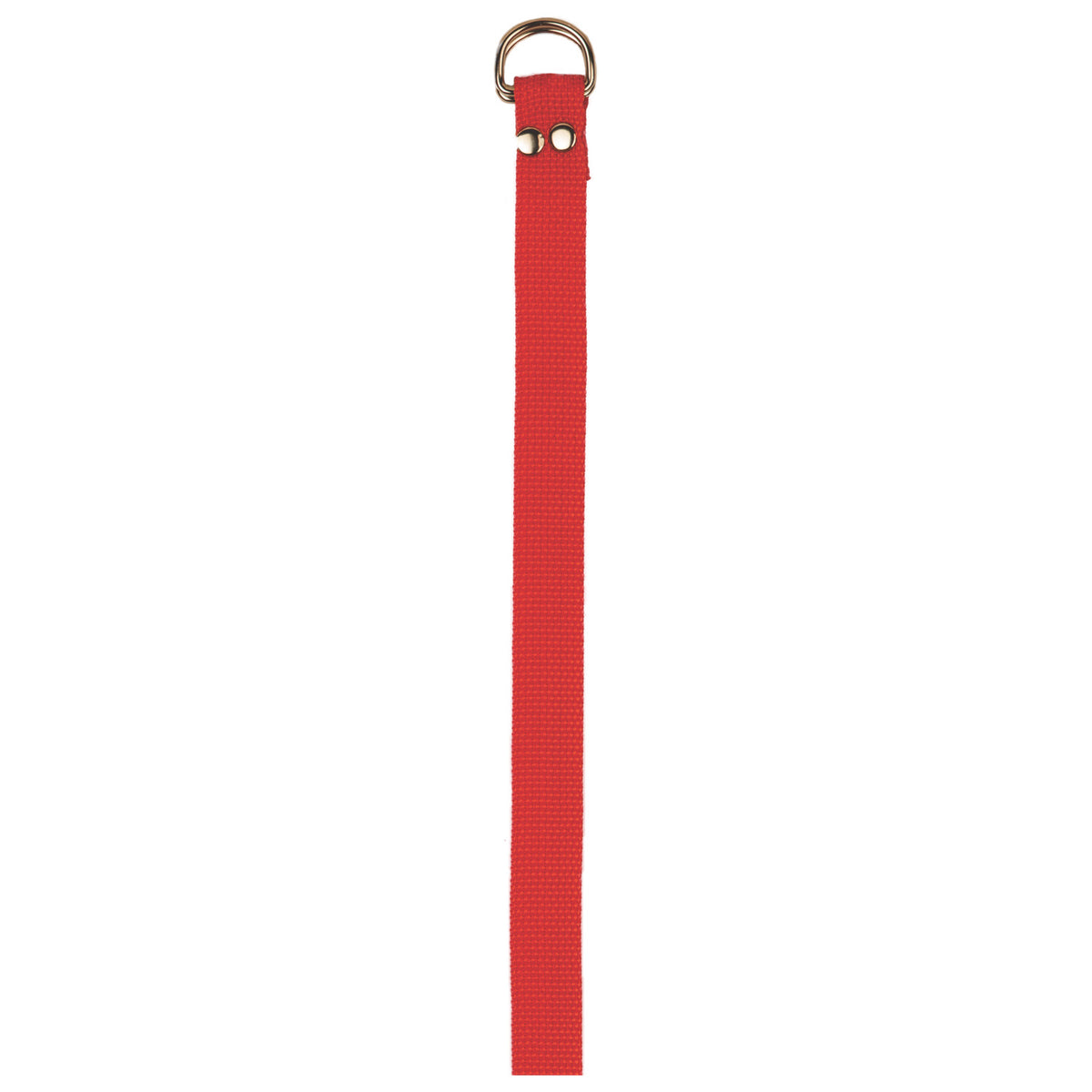 Champion Sports Football Belt - Red