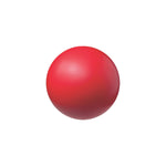 Champion Sports Coated High-Density Foam Ball