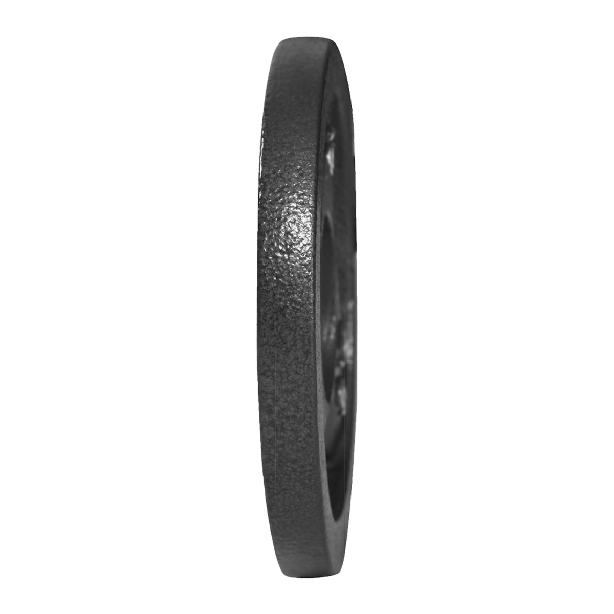 Champion Sports JFIT Cast Iron Grip Plate