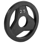 Champion Sports JFIT Cast Iron Grip Plate - 2.5 lb / Single