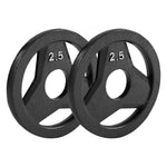 Champion Sports JFIT Cast Iron Grip Plate - 2.5 lb / Set of 2