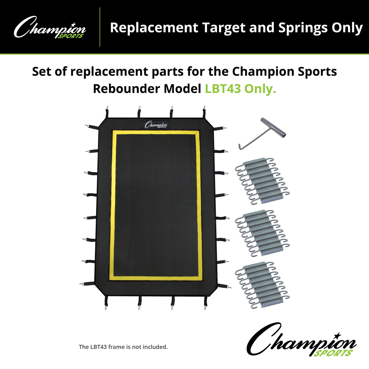 Champion Sports LBT43 Lacrosse Rebounder Replacement Target and Springs