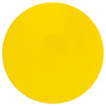 Champion Sports Poly Spot Markers