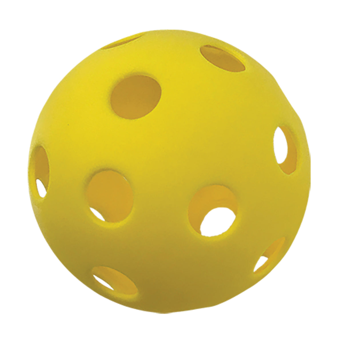 Champion Sports 12" Plastic Softballs