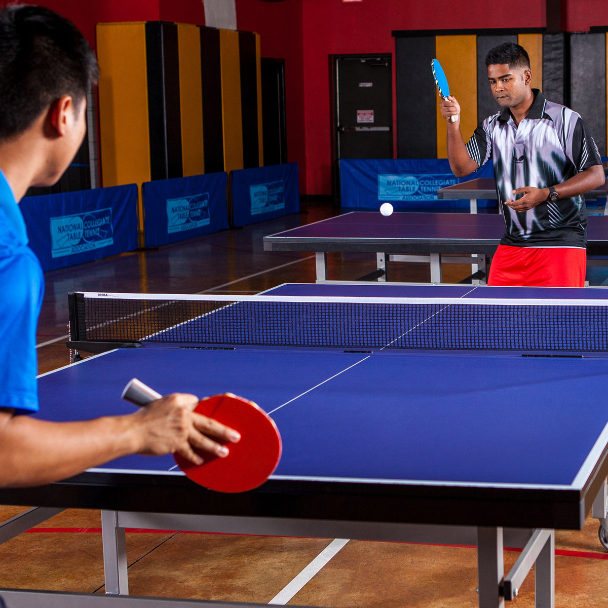 Champion Sports 5-Ply Rubber Table Tennis Paddle