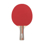 Champion Sports 7-Ply Pips-In Rubber Face Table Tennis Paddle 3-4-7
