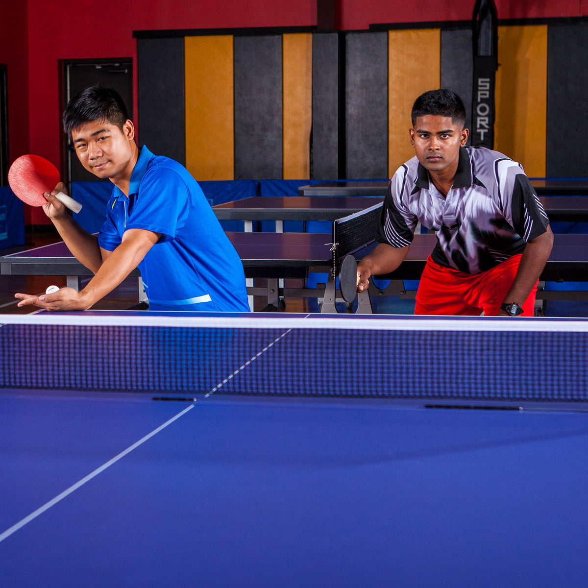 Champion Sports Multi-Player Table Tennis Set