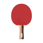 Champion Sports Pro 14 7-Ply Pips-In Table Tennis Paddle