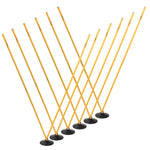Champion Sports Pro Agility Pole Set