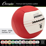 Champion Sports Rhino Fitness Promax Wall Ball