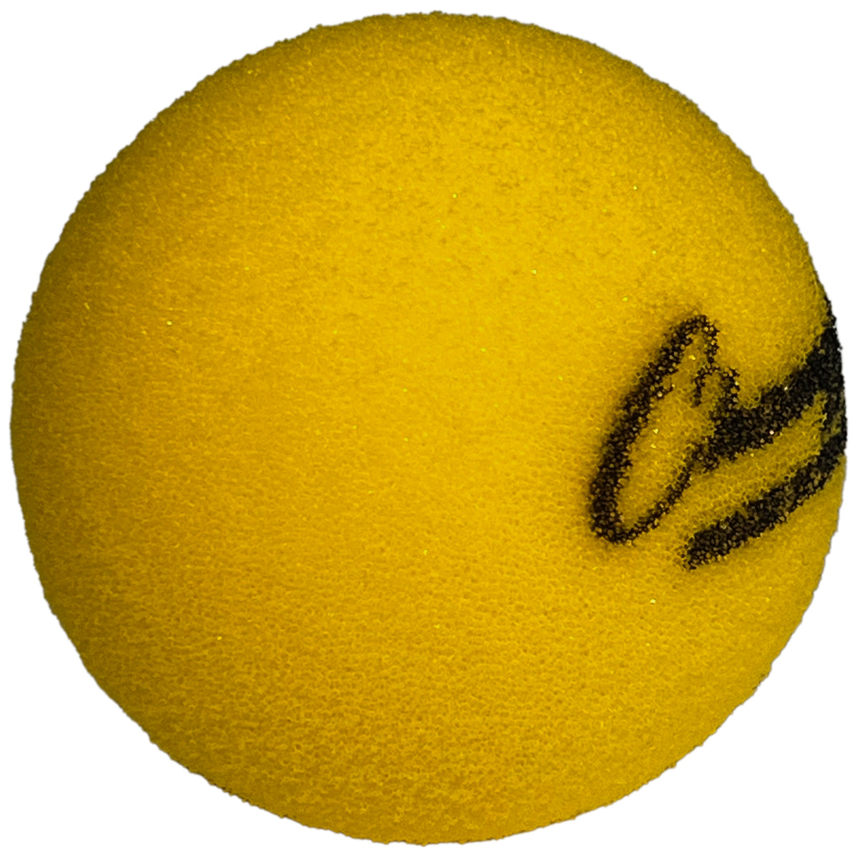 Champion Sports High-Bounce Uncoated Foam Ball