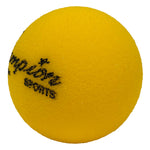 Champion Sports High-Bounce Uncoated Foam Ball