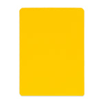 Champion Sports Referee Cards