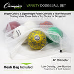 Champion Sports Rhino Skin Variety Dodgeball Set - Set of 6