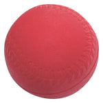 Champion Sports Foam Covered Bat and Ball Set