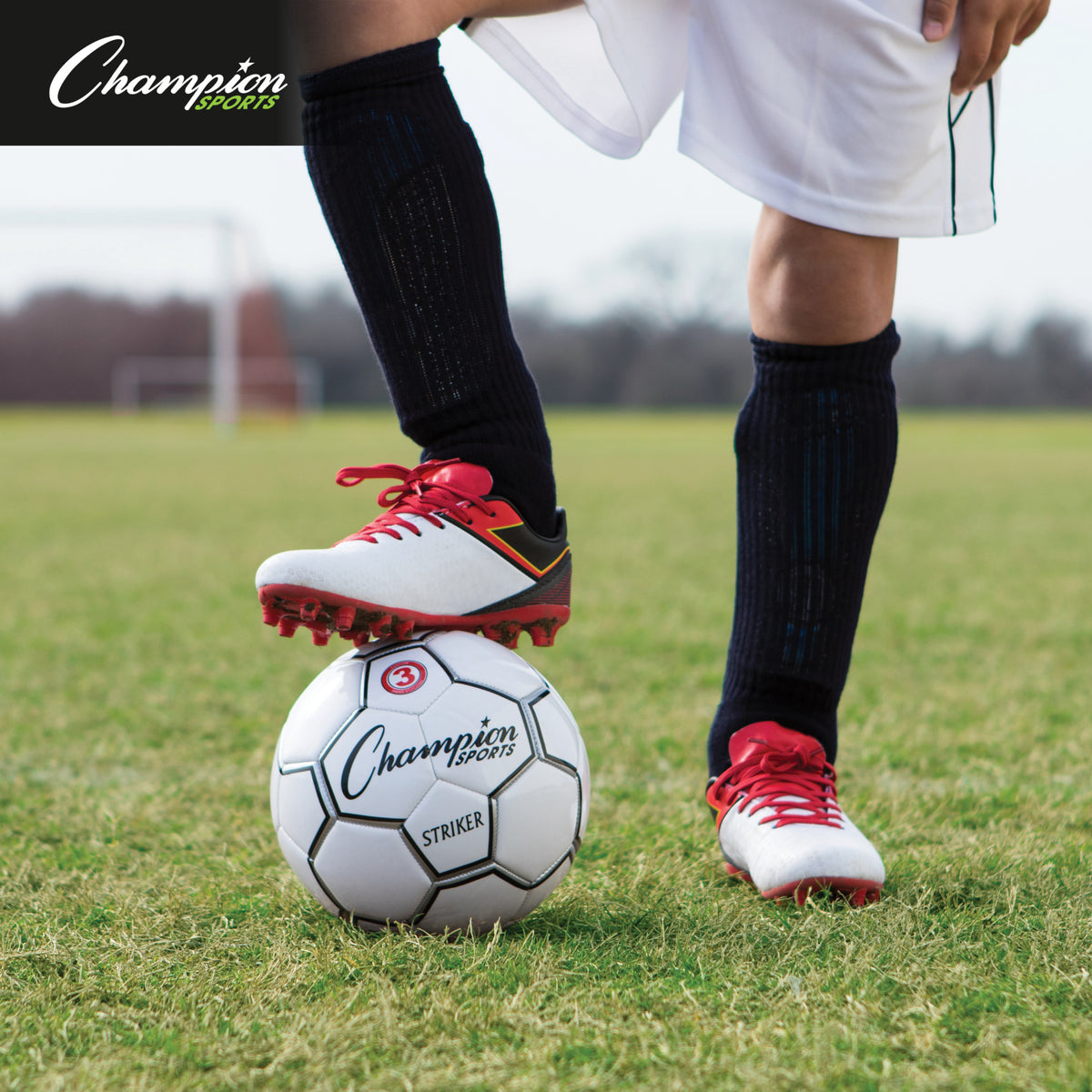 Champion Sports Striker Soccer Ball