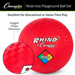 Champion Sports Mixed Playground Ball Set