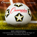 Champion Sports Playground Activity Set