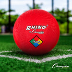 Champion Sports Playground Activity Set
