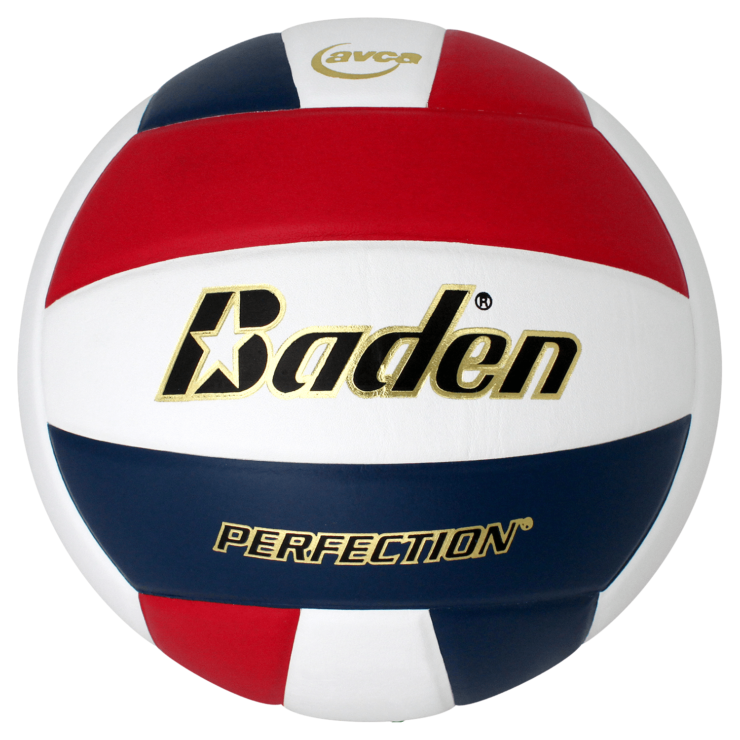 Baden Official Practice Leather Volleyball