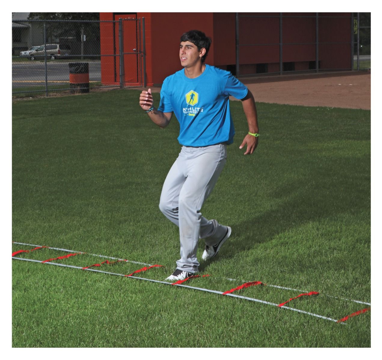 PowerMax Web Agility Ladder