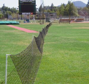 Gill Discus Sector Net