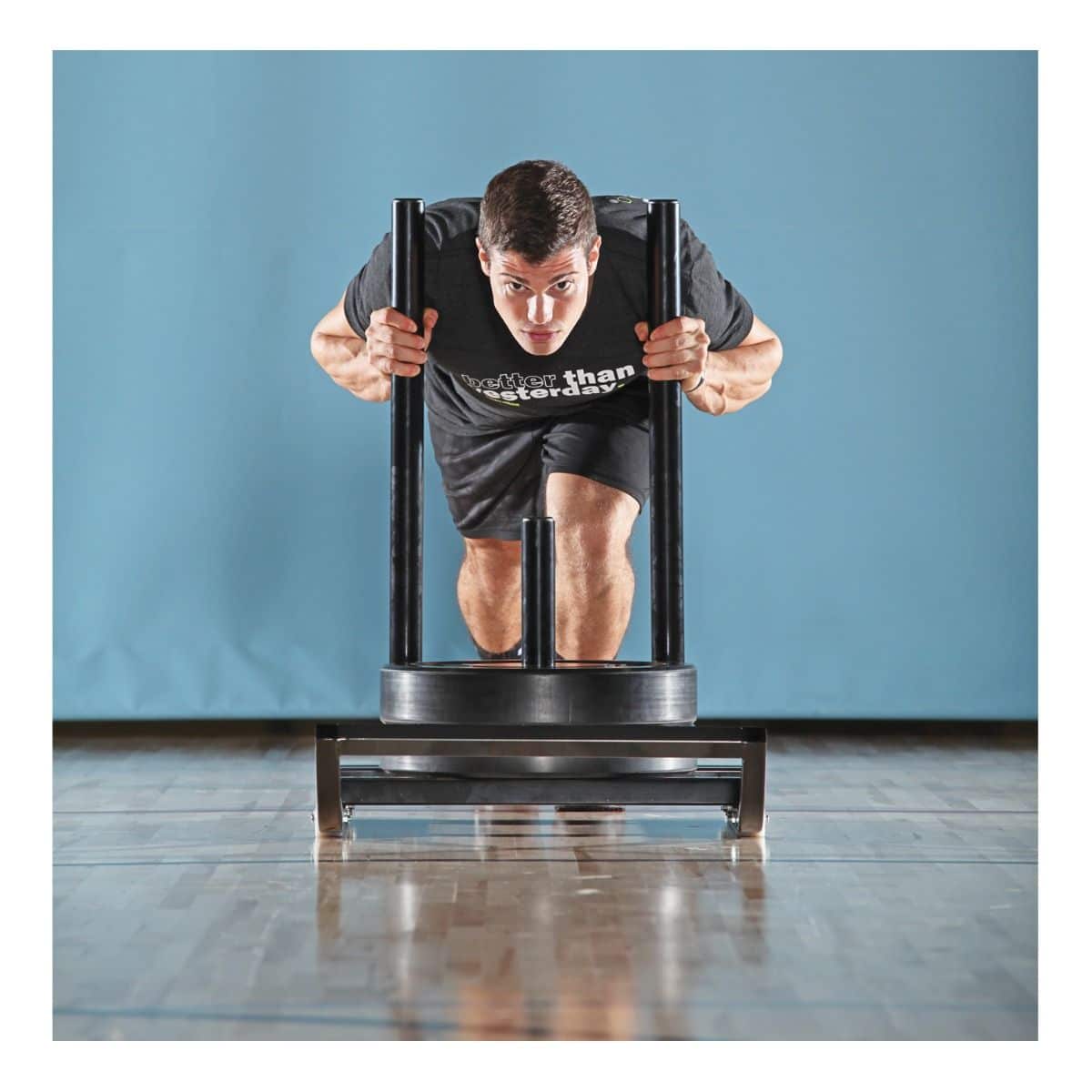 Powermax Push/pull Sled