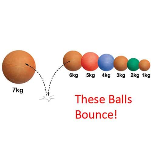 Blazer Medicine Balls