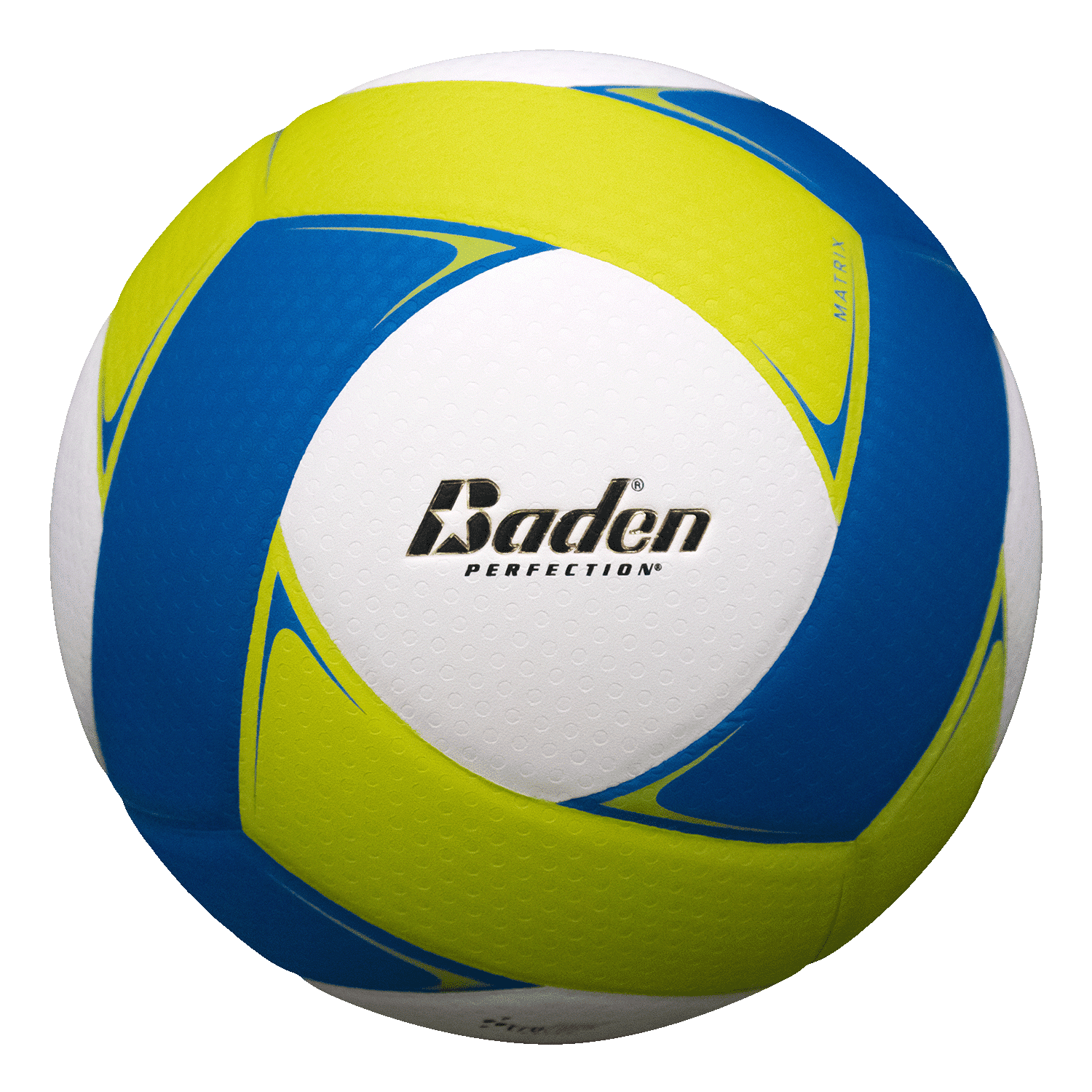 Baden Official Matrix Leather Volleyball