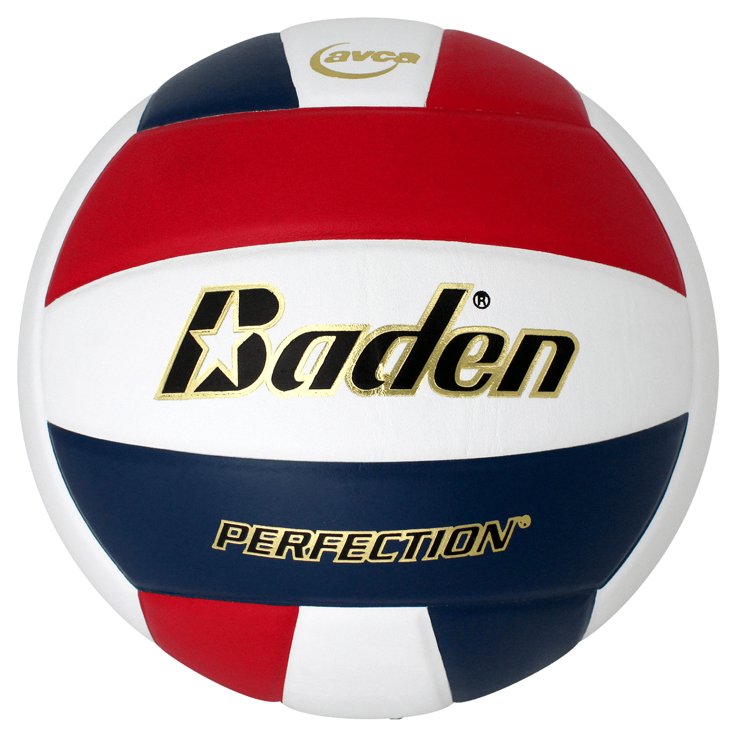 Baden Official Practice Leather Volleyball